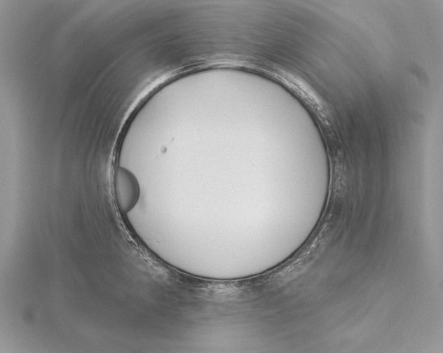 X0000115431190200912020918