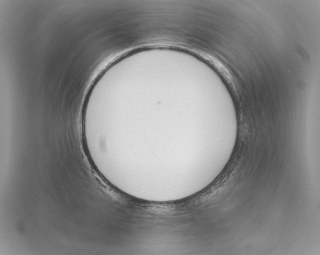 X0000115431191200912020918