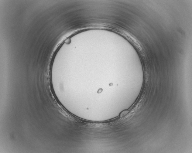 X0000115431192200912020918