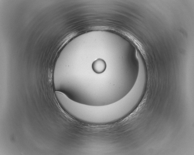 X0000115431193200912020918