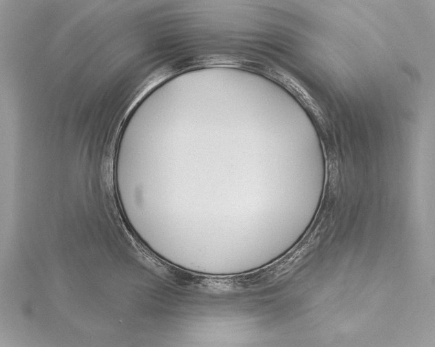 X0000115431194200912020918