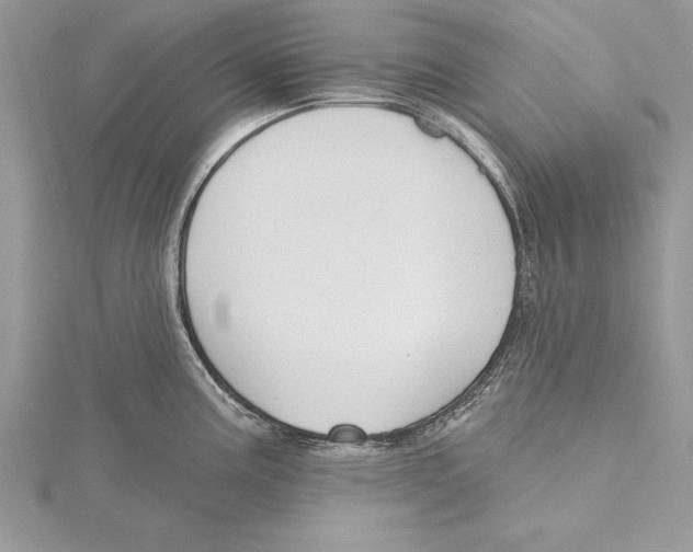 X0000115431195200912020918