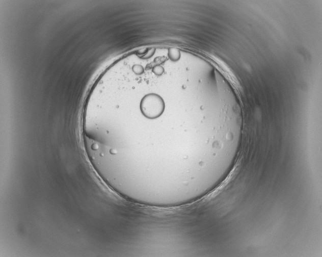 X0000115431196200912020918