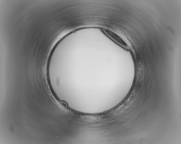 X0000115431197200912020918