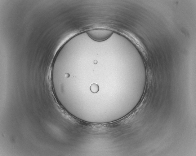 X0000115431198200912020918