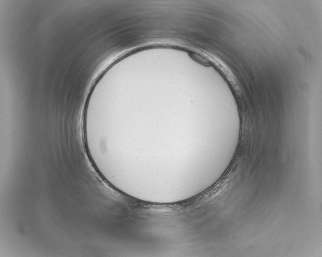 X0000115431199200912020918