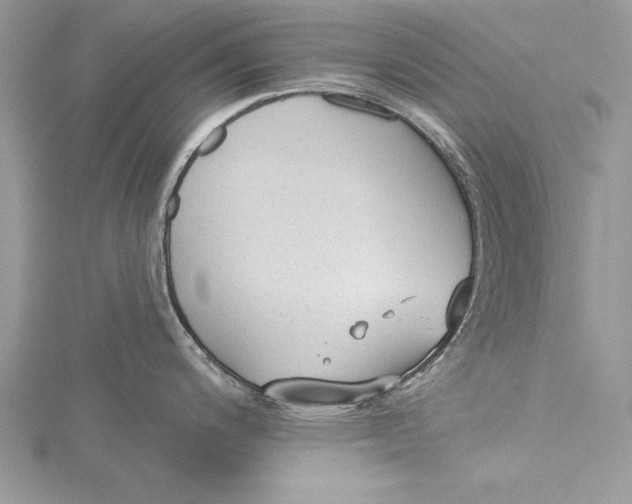 X0000115431200200912020918