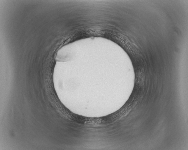 X0000115431201200912020917