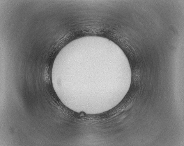 X0000115431202200912020917