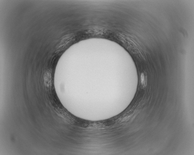 X0000115431203200912020917