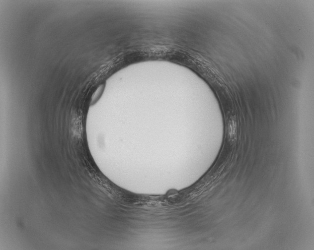 X0000115431204200912020917