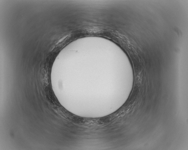 X0000115431205200912020917