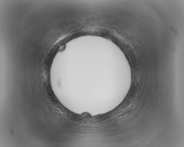 X0000115431206200912020917