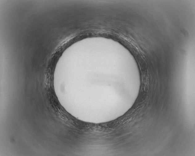 X0000115431207200912020917