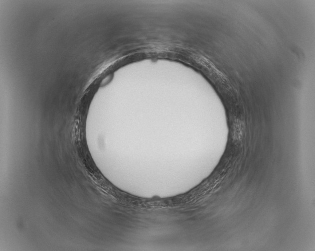 X0000115431208200912020917