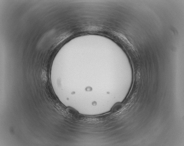 X0000115431209200912020917