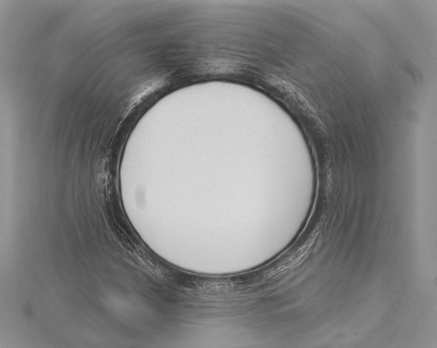 X0000115431210200912020917