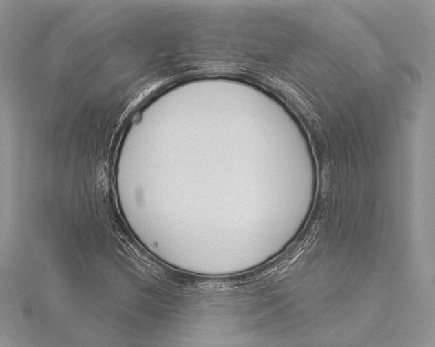 X0000115431212200912020917