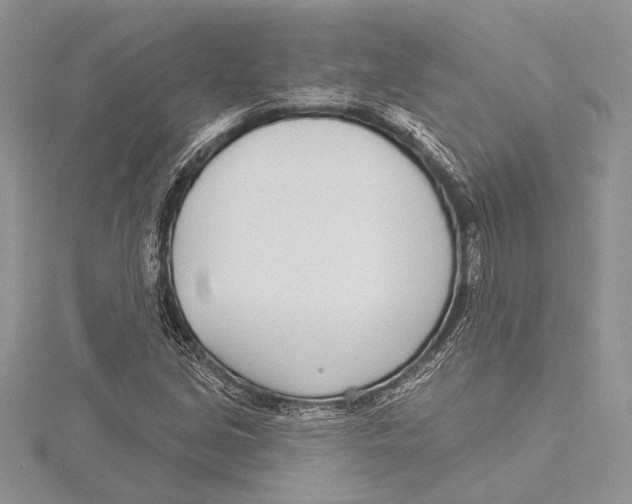 X0000115431213200912020917