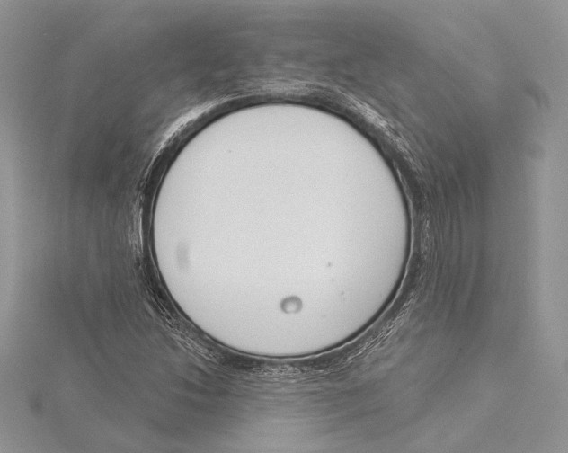 X0000115431214200912020917