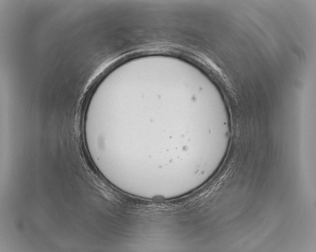 X0000115431216200912020917