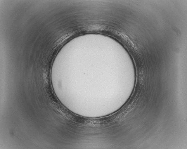 X0000115431217200912020917