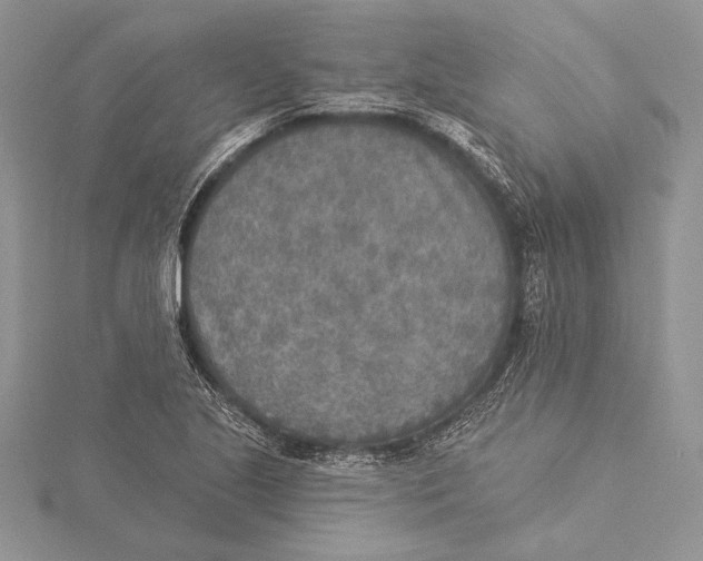 X0000115431221200912020917