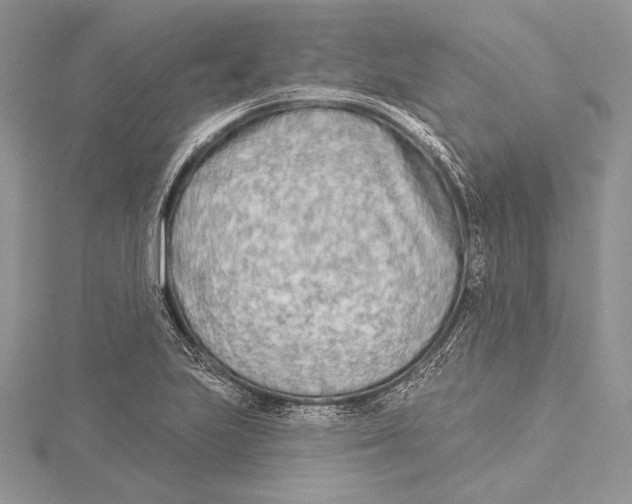 X0000115431223200912020917