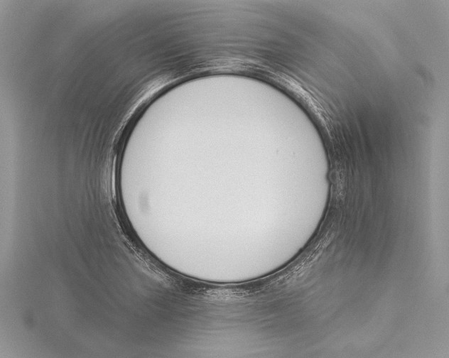 X0000115431227200912020917