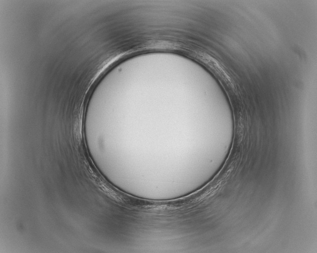 X0000115431228200912020917