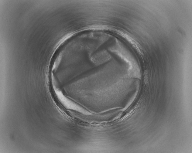 X0000115431229200912020917