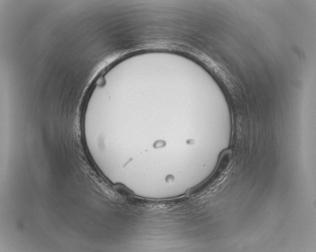 X0000115431230200912020917