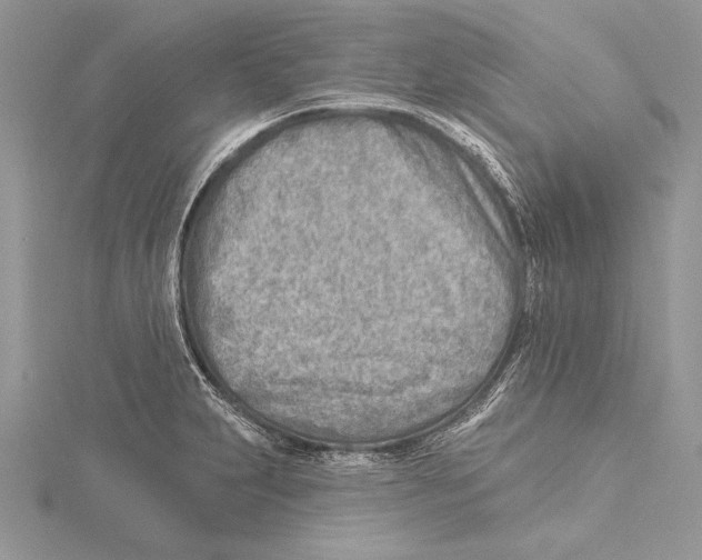 X0000115431231200912020917