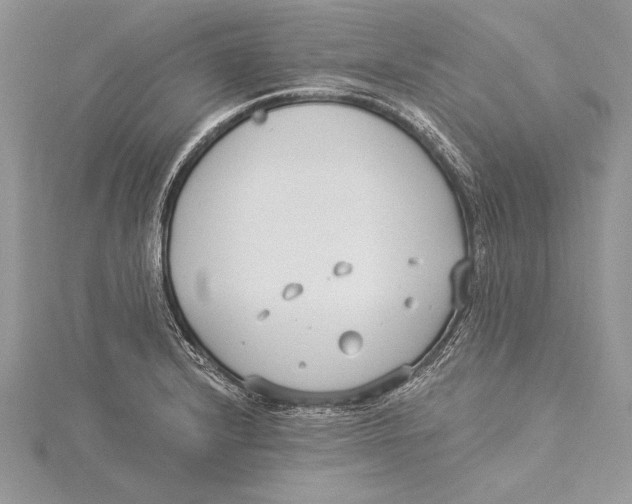 X0000115431232200912020917