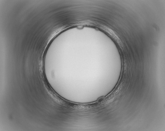 X0000115431234200912020917