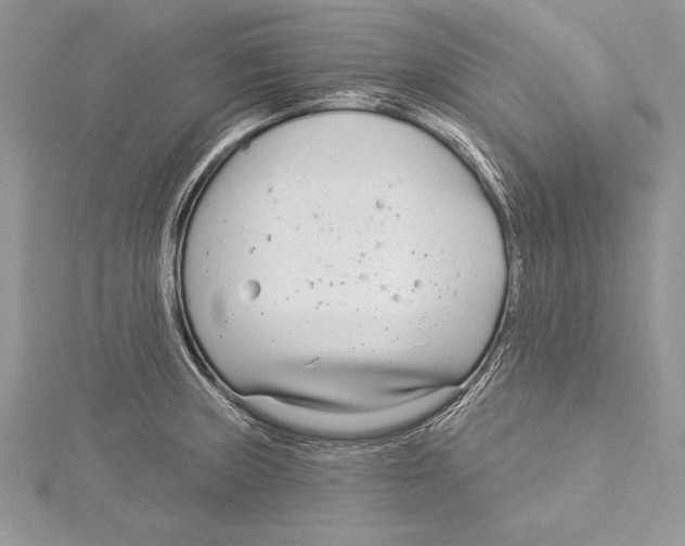 X0000115431235200912020917