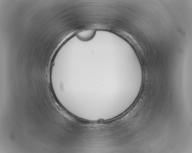 X0000115431236200912020918