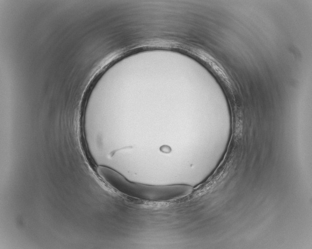 X0000115431237200912020918