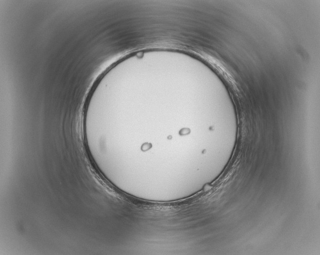 X0000115431238200912020918