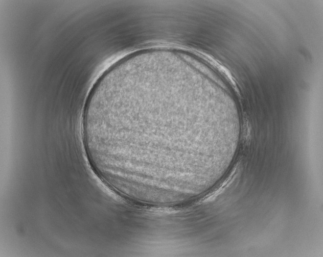 X0000115431239200912020918