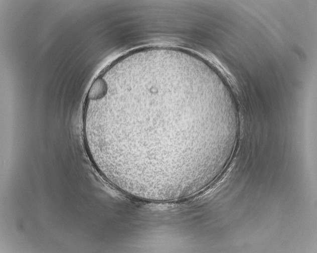 X0000115431240200912020918