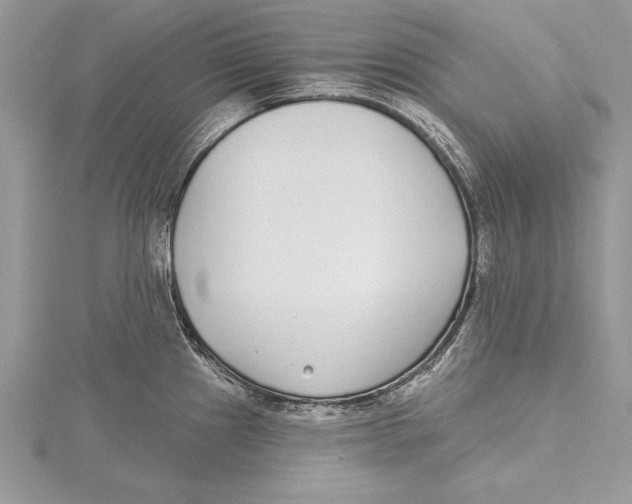 X0000115431241200912020918