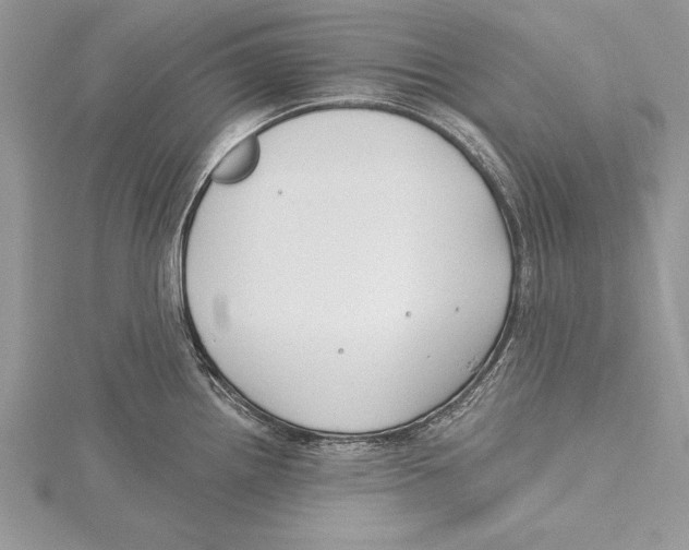 X0000115431242200912020918