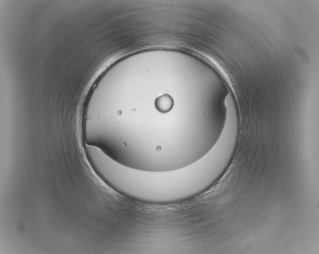 X0000115431243200912020918