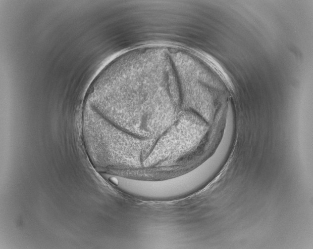 X0000115431244200912020918