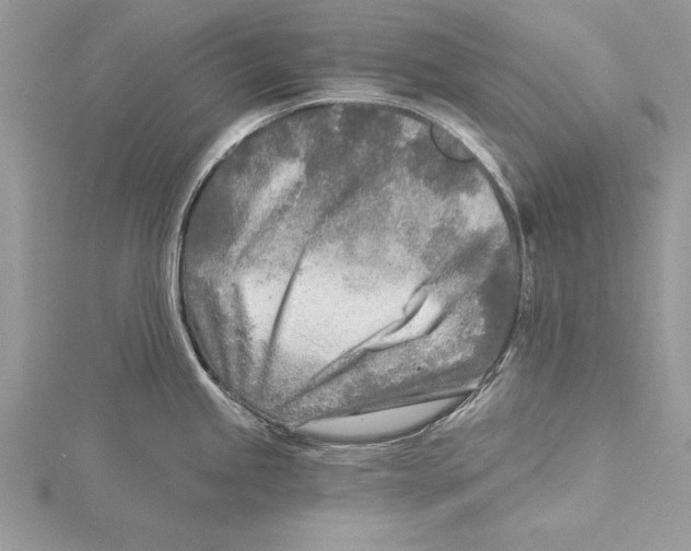 X0000115431245200912020918