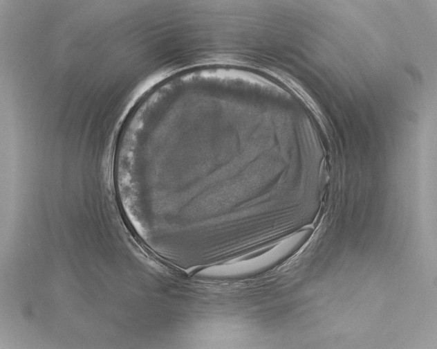 X0000115431246200912020918