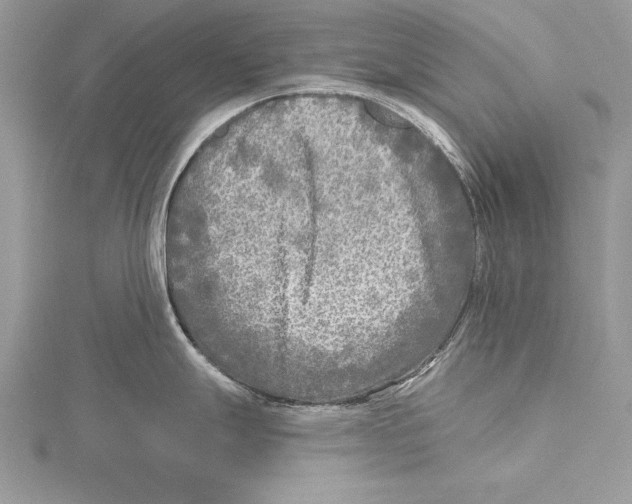 X0000115431247200912020918