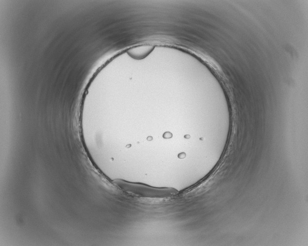 X0000115431248200912020918