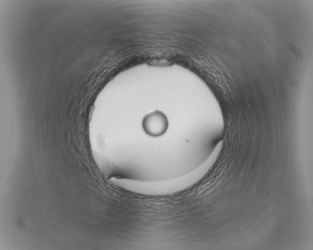 X0000115431249200912020917